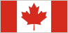 International Flag 1